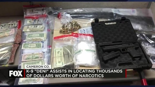 K9 Critical in Locating Narcotics in Cameron County
