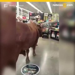 Ranchero de Texas comprueba si Petco recibe a todas las mascotas