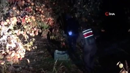 Son dakika haberi | Ağaç dalıyla kamufle olmaya çalıştı, polisin dikkatinden kaçamadı