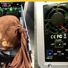 Viajero intenta contrabandear serpiente dentro de un disco duro