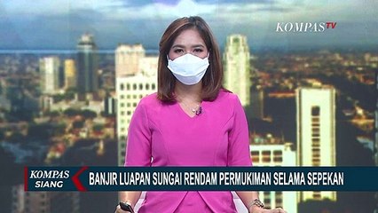 Ratusan Rumah Warga di Jambi Terendam Luapan Sungai Batanghari