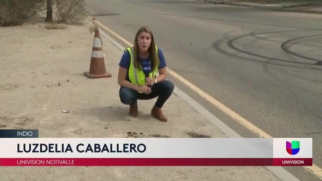 Critican control de animales por el lento recogimiento de animales muertos