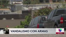 Continúan casos de vandalismo en San Diego con pistolas de postas