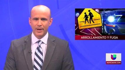 Noticias Tampa 11pm 071919 - Clip