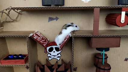 Hamster and Marble Run in the awesome Ship maze for pets in real life