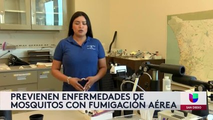 Condado de San Diego previene proliferación de mosquitos