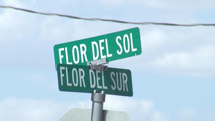10PM DELIA RUTH GUERRA PKG