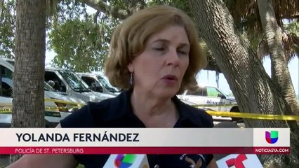 Encuentran cadáver rodeado de caimanes en st pete