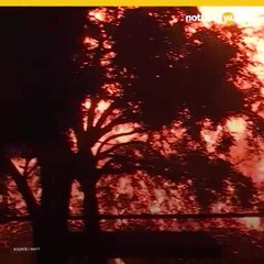 ARden bodegas de Jim Beam