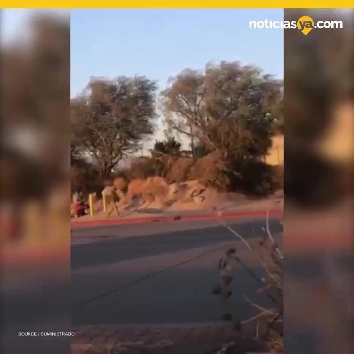 Oficial de CA bale y mat a hombre por estar armado con un cuchillo