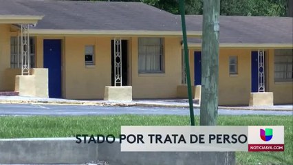 Arrestadas más de 80 personas