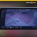 Video muestra a cartero rociando gas pimienta correo a perro