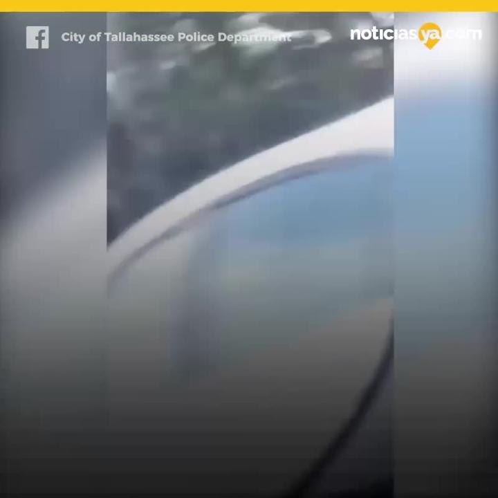 VIDEO: Niña camina con las manos arriba tras su padre ser arrestado