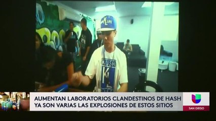 Hash Oil Lab: Extraction & Testing