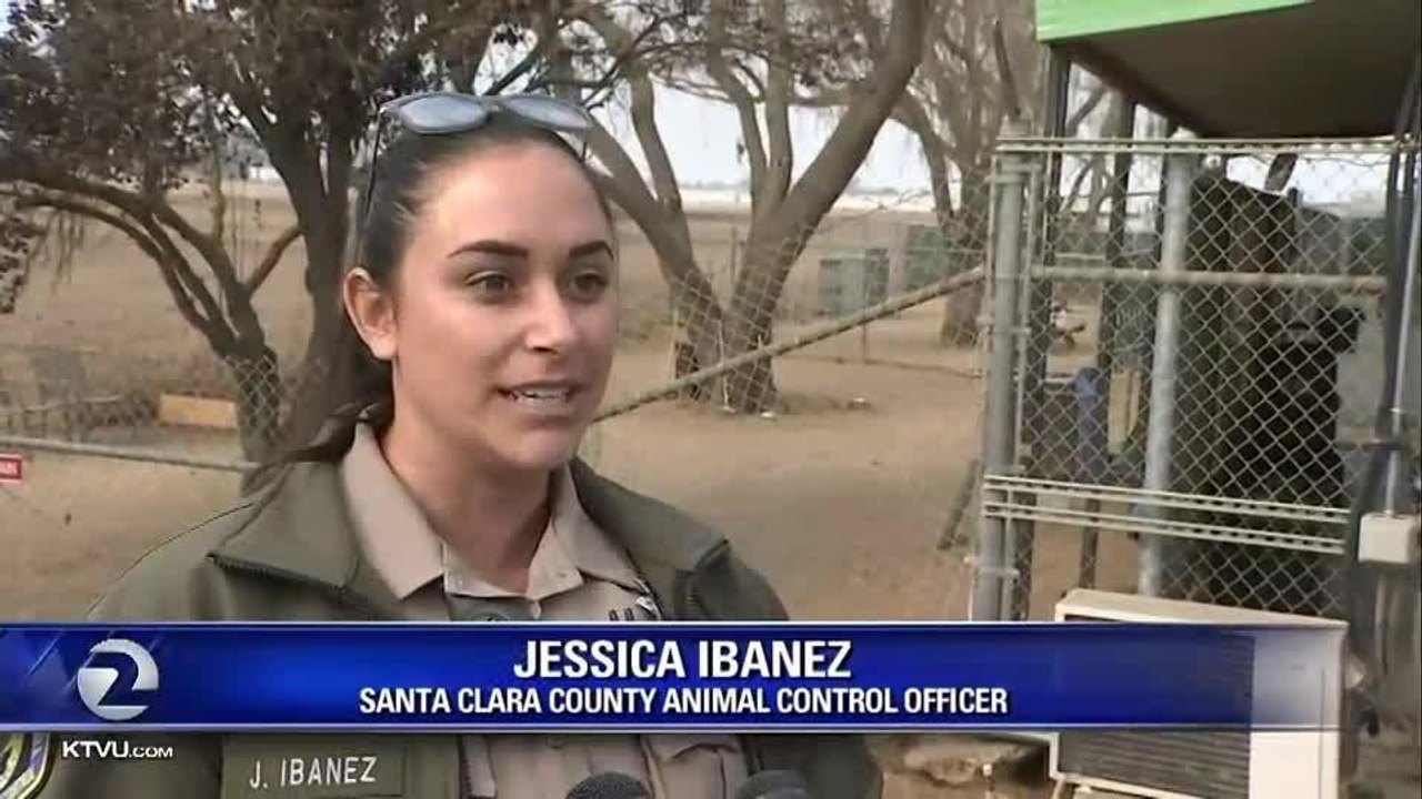 South Bay team helps reunite Camp Fire pets with owners - Story  KTVU - httpwww.ktvu.comnewssouth-bay-team-helps-reunite-camp-fire-pets-with-owners (1)