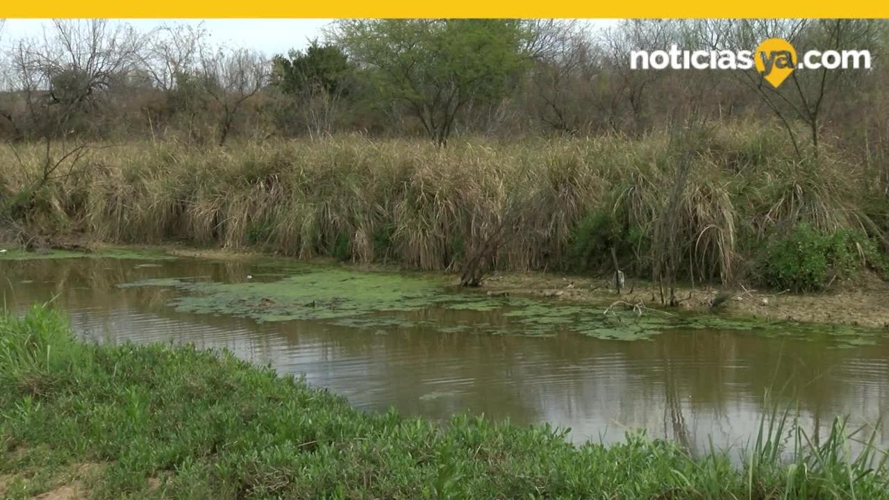 Se declara culpable de asesinato