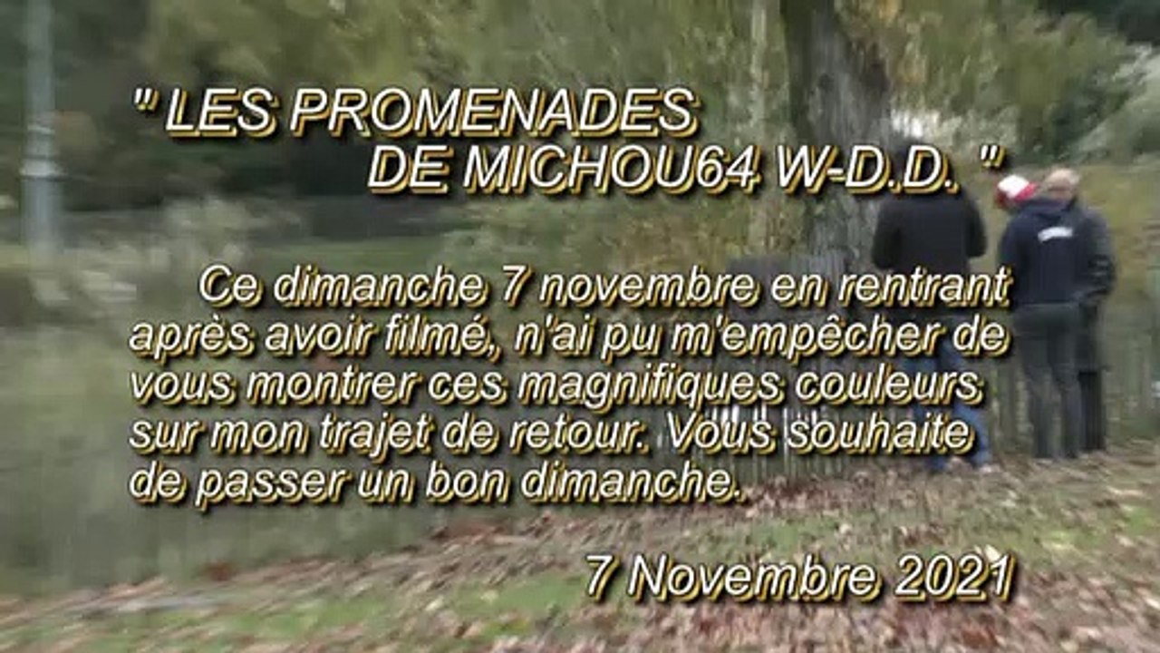 LES PROMENADES DE MICHOU64 W-D.D. - 7 NOVEMBRE 2021 - PAU - RETOUR À CASE EN OBSERVANT LES COULEURS AUTOMNALE