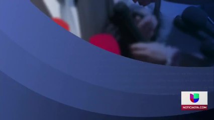 100 mil toneladas de cenizas llegan por el  puerto de Manatee