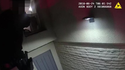 OIS Darwish - June 24, 2018.mp4