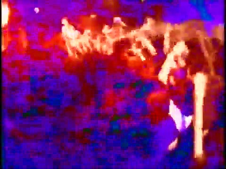 THE SLUT BANKS / 涙の最終飛行 PV