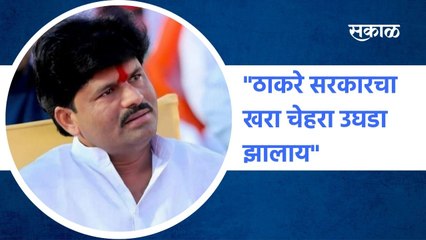 Gopichand Padalkar: "ठाकरे सरकारचा खरा चेहरा उघडा झालाय"