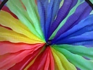 Baby Einstein S01E02 - Baby Beethoven Symphony of Fun