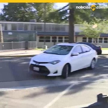 Estudiantes repartieron galletas horneadas con cenizas humanas
