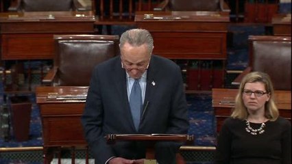 WM16x9N_PO-60FR_SENATE_ SCHUMER- TRUMP_ YOU OWN THIS SHUT DOWN _CNNA-ST1-1000000004ef71e7_201_0W.wmv