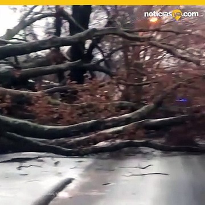 tormenta sureste eeuu