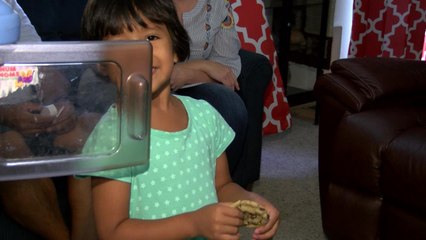 A PARENTS FIGHTING PKG 10