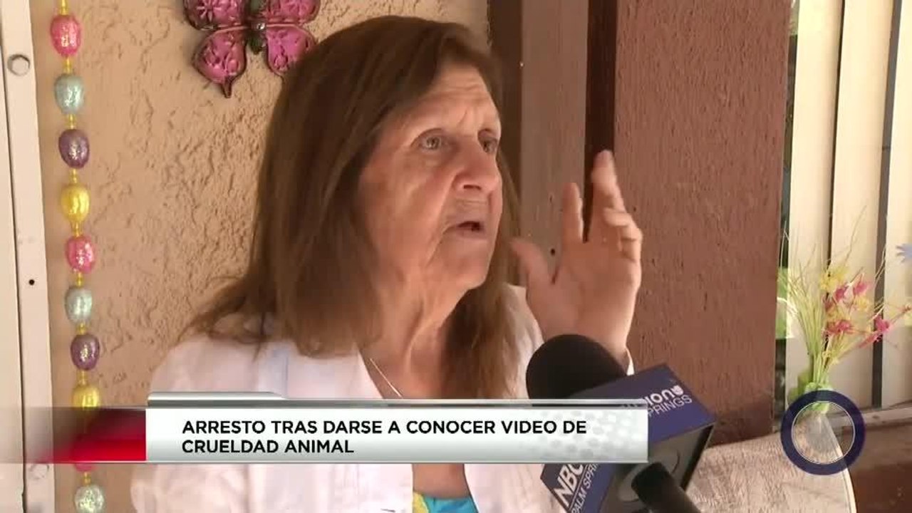 ARRESTO-CRUELDAD-DE-ANI