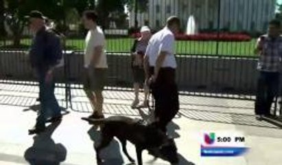 Lo mas destacado esta semana en el Distrito