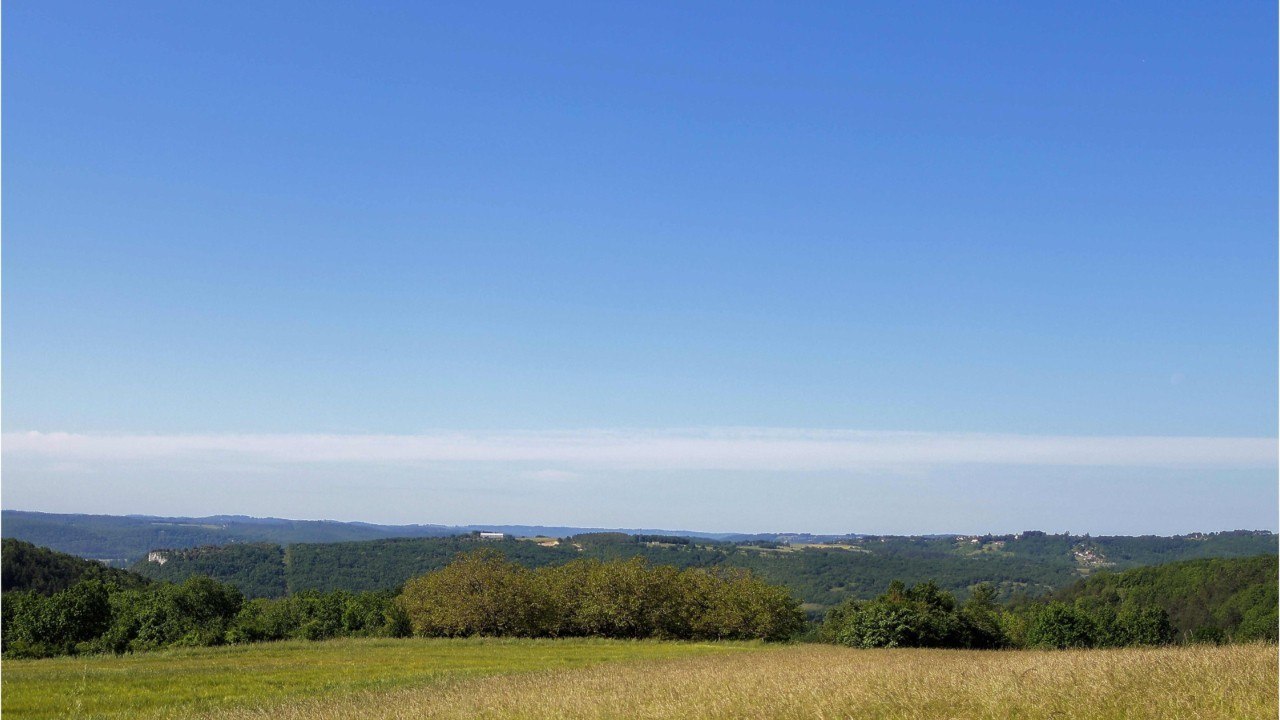Ne trouvant pas de serveur, la restauratrice finit par recruter ses amis retraités