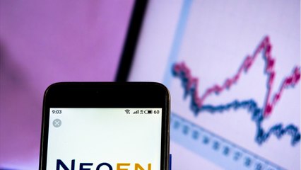 Neoen, la pépite française des énergies renouvelables