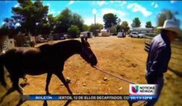 Charros en el Desierto Pt 1