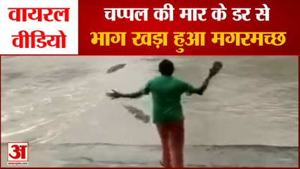 Viral Video: चप्पल देख भाग खड़ा हुआ मगरमच्छ। Woman shoes away a croc with just her flip-flops