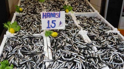 Ordu'da hamsinin kilosu 15 lira