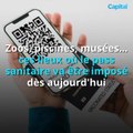 Zoos, piscines, musées… ces lieux où le pass sanitaire va être imposé dès mercredi (1)