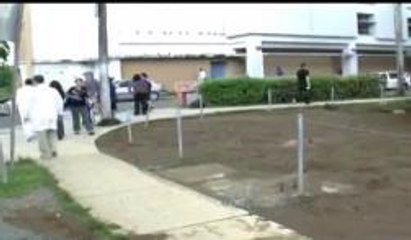 Virus del Chikungunya