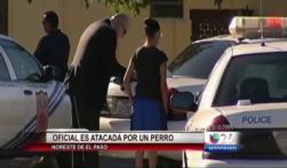 Oficiál de contról de animales es atacada por un perro