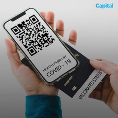 Zoos, piscines, musées… ces lieux où le pass sanitaire va être imposé dès mercredi (3)