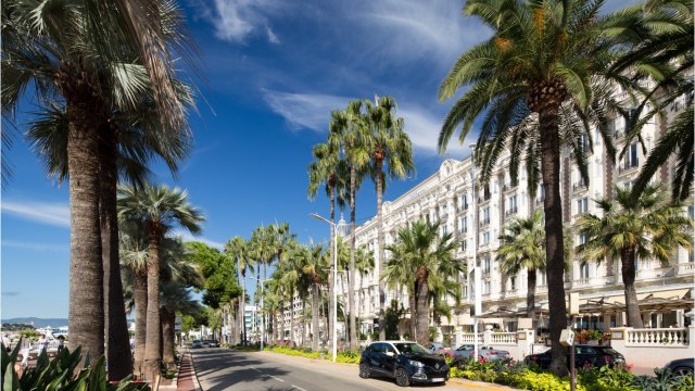 A Cannes, la squatteuse de luxe a encore frappé