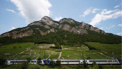 SNCF : grosse colère chez les abonnés TGVMax