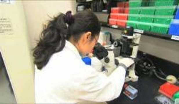 FL: Dan negativo pacientes con síntomas de virus del Ébola