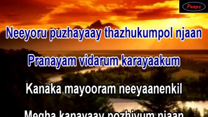 Karaoke - Nee Oru Puzhayay - DSudheeran