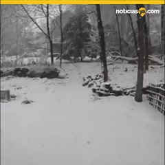 El paso del Nor\'easter en Nueva York
