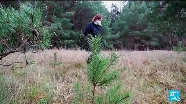 Tensions high at Poland-Belarus border as migrants weather freezing cold