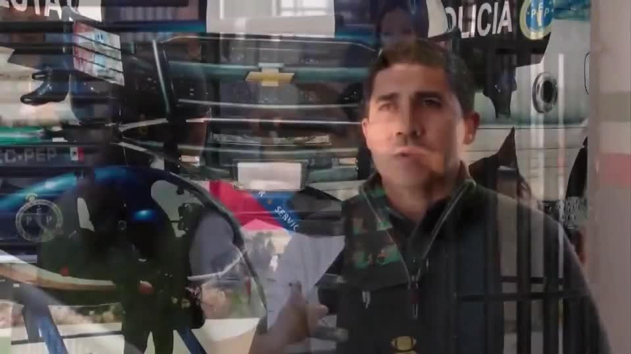 Pandillas SD