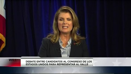 DEBATE LUZDELIA
