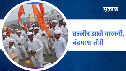 Solapur ; तल्लीन झाले वारकरी, चंद्रभागा तीरी ; पाहा व्हिडीओ